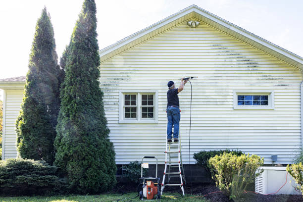 Best Soft Washing  in Suisun City, CA